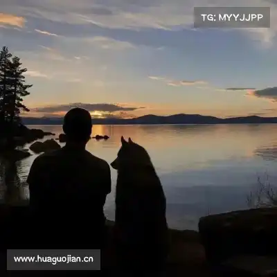 鲍柳泓