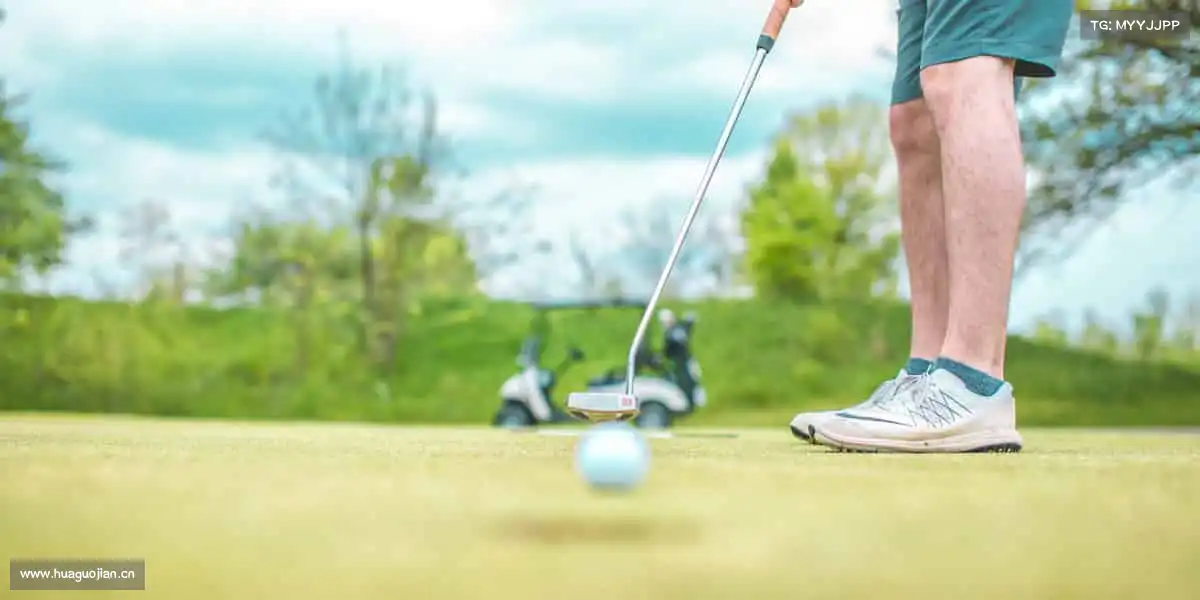 行业领先的理由